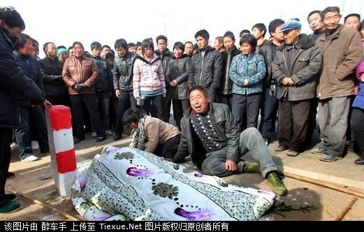 【图】河南邮政局长醉驾撞死5少年