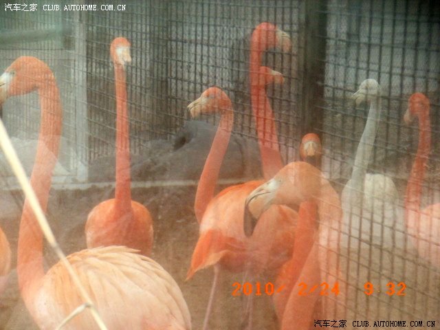 【图】石家庄动物园冬秋季景色--有图为证_河