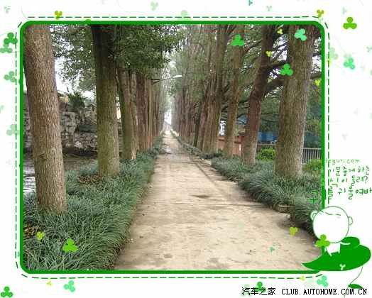 【图】摄影、赏花、垂钓、春游皆兼容_贵州论