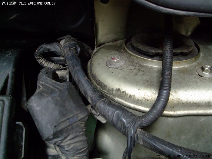 【图】老鼠,教我如何消灭你!