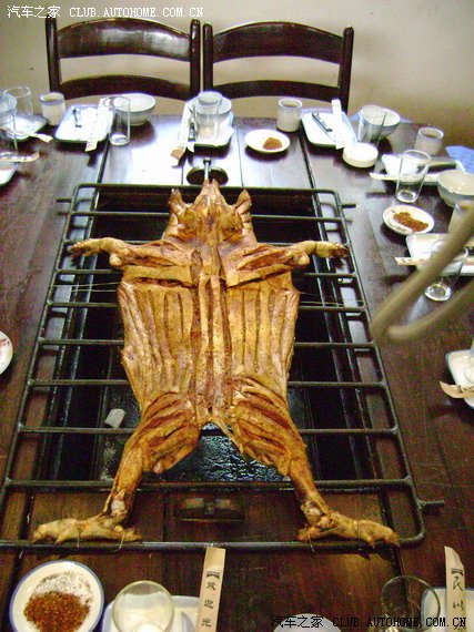 【图】安康生态园的金毛猎犬和烤小猪_云南论坛_汽车之家论坛