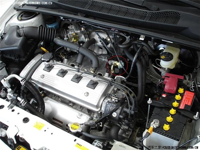 【图】感谢 三文鱼2,关于 油压脉动缓冲器