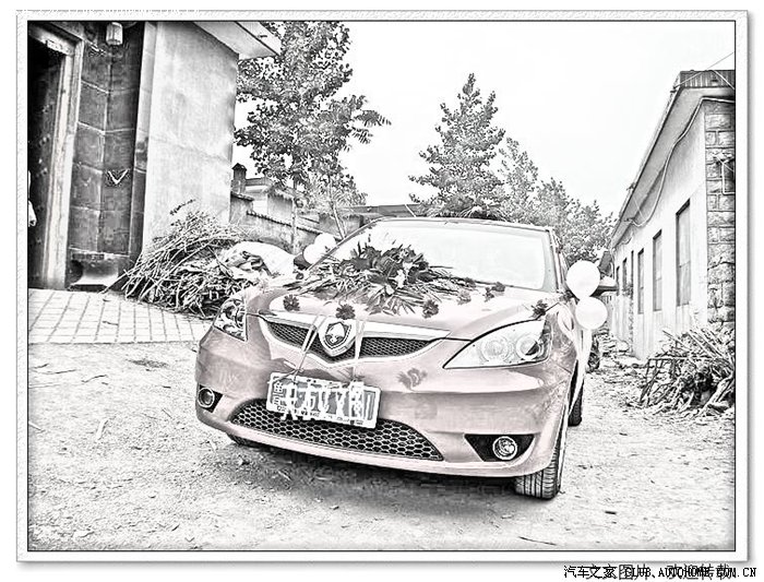 【图】悦翔婚车第二季:临沂车友单身婚礼+费