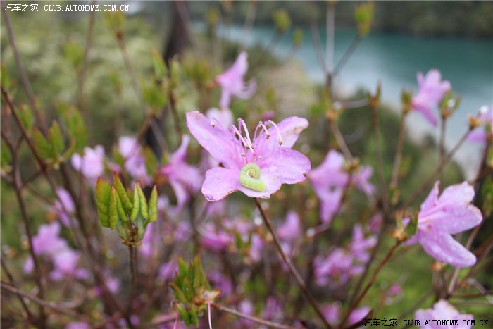 【图】新世纪飚车族!