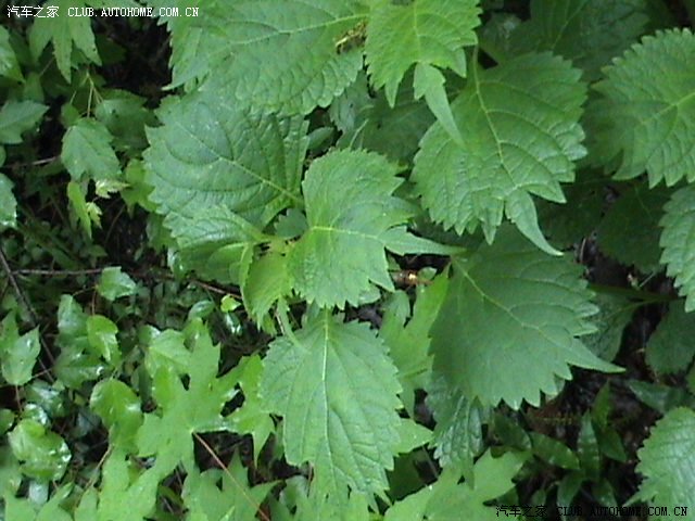 大庆至丹东、大连等城市自驾游总结篇之【出行