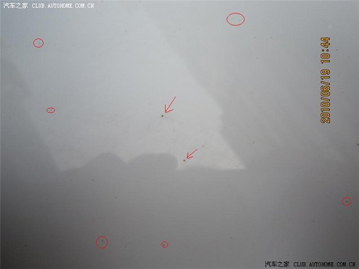 【图】怎么去除白色车上的小黄点?