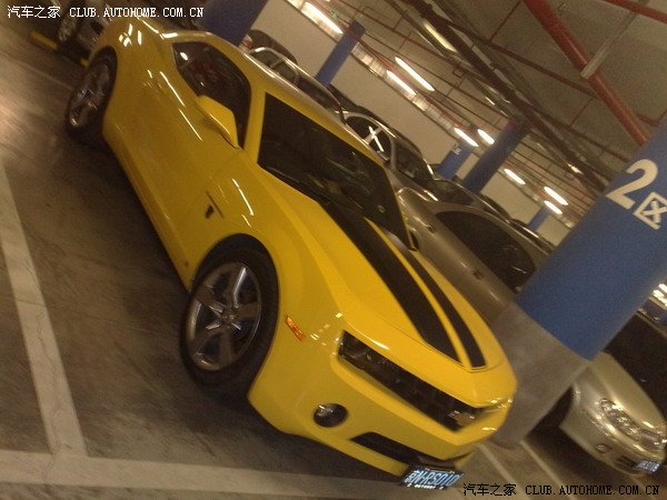 【图】北京宜家停车场近距离观摩大黄蜂