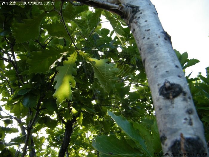 【图】宝泉岭与共青农场交界的--美丽的烟筒山