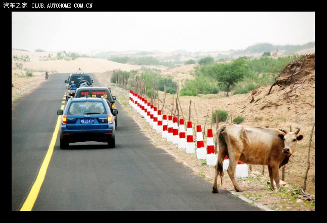 【图】天使游记No.5 无越野,不兄弟_自驾游论