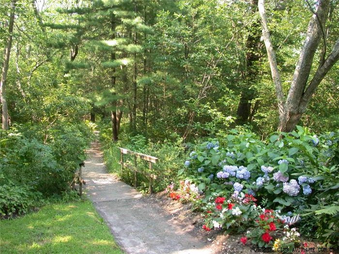 【图】怎样才能查到违章记录?