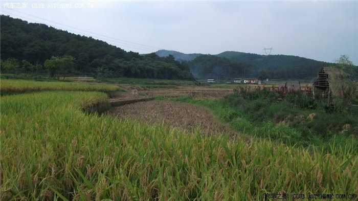 【图】华柳汽车长城哈佛h3车友会绿源山庄自