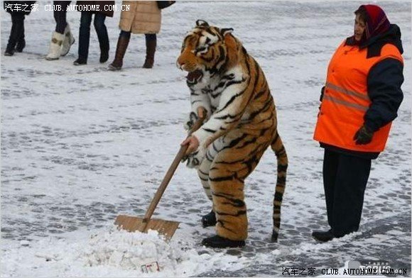 【图】偶从看热闹帝转变为搞笑悲剧帝!