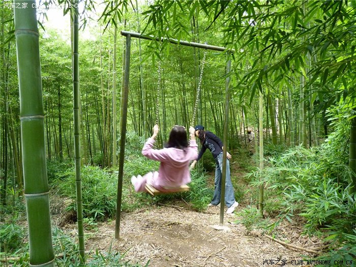 玉溪峨山竹海高香茶厂绿色自驾游