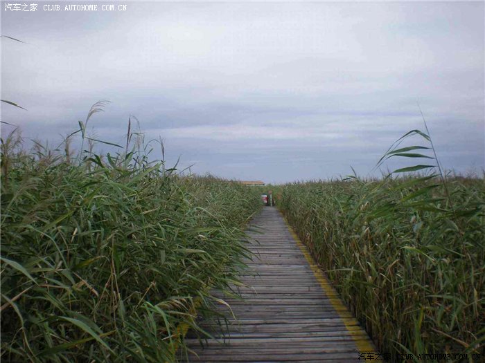 【图】【蓝色春天】盘锦红海滩 兴城笔架山风