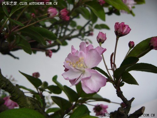 【图】小区固定车位近来总是被占,怎么办?_爱