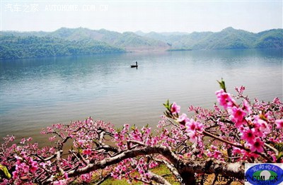 桃花节丹东河口一日游