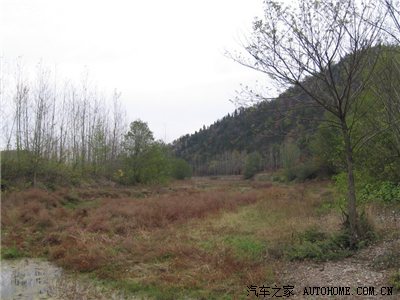 武汉-安陆钱冲、随州洛阳镇自驾银杏一日游归