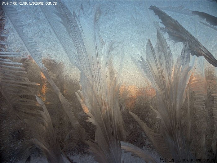 【图】冬天的窗花!摄影