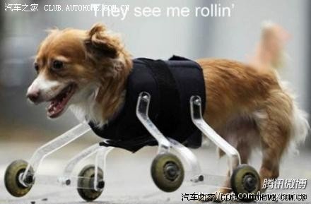 其实每个打篮球的男生都曾希望有个女生站在球