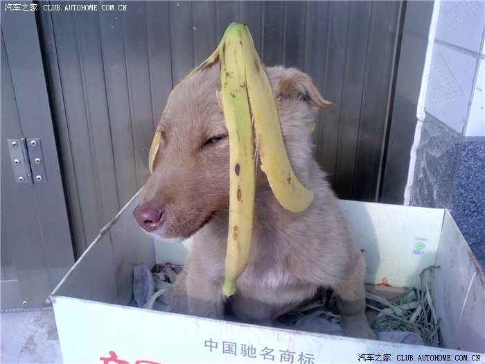 【图】绝对申精:我自己小6完整改装作业(不一