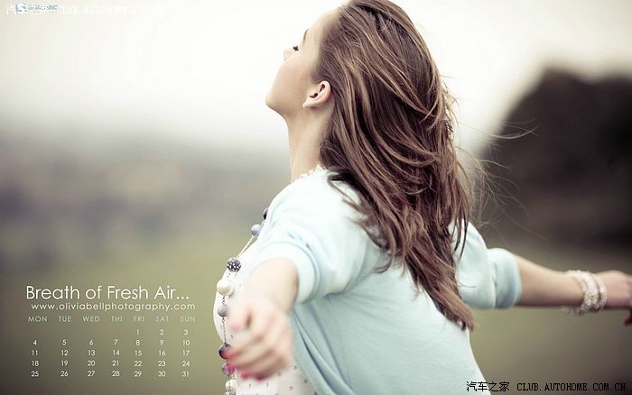 【图】会计算车船使用税的进来坐。谢谢了!