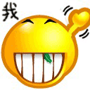 赛欧短天线