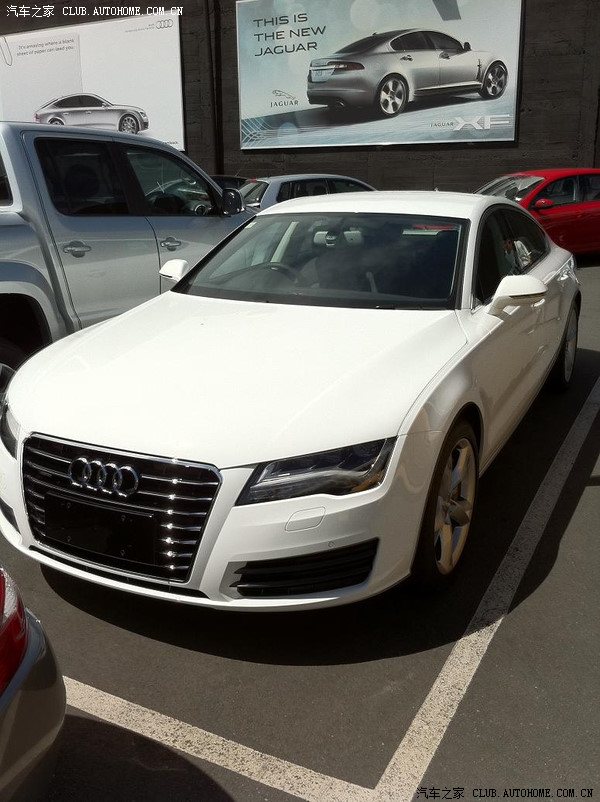 白色\/咖啡色 A7