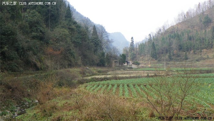 【图】3月5号石阡敬雀节