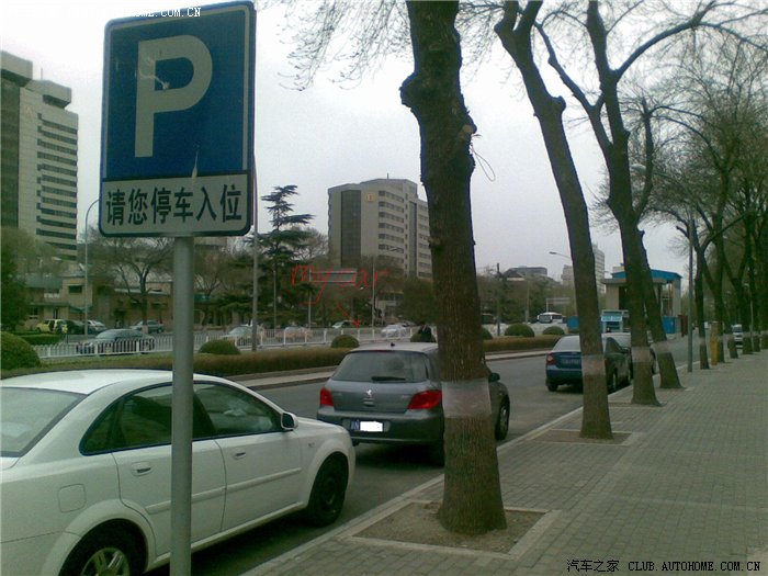 【图】北京治堵治疯了,停车标志下停车也贴条