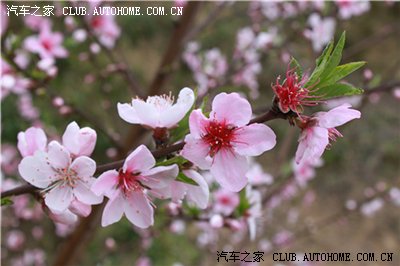 清明小长假,从长沙到郴州东江湖自驾游,新手发