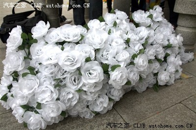 然后一一为烈士们献上小白花.