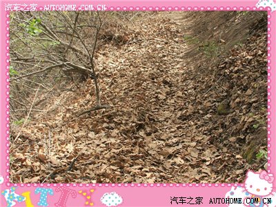 【5.1自驾】长寿长寿村传说(内有武安游记)攻略剑影剑侠情缘秘籍图片