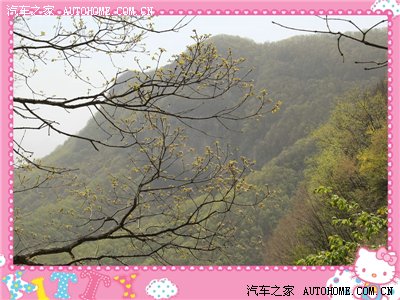 【5.1自驾】香江长寿村秘籍(内有长寿攻略)武安亲子实用动物园游游记野生图片