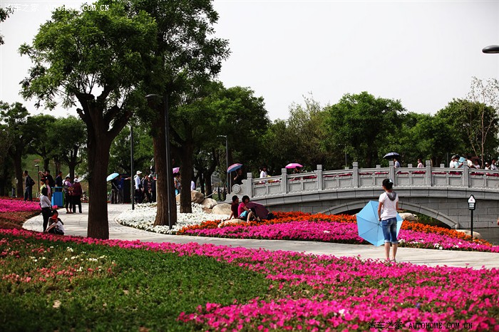 【图】五一自驾游西安世园会 登华山_北京现代