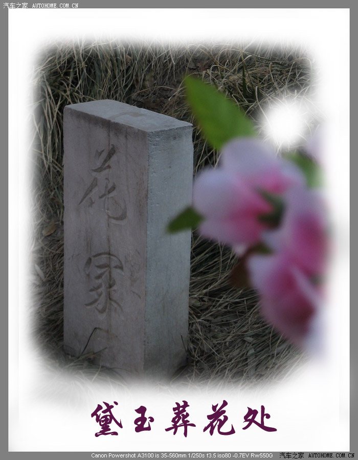 【图】曹雪芹很能拽