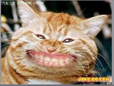 我买车开的发票是7W,我购车税应该交多少钱啊