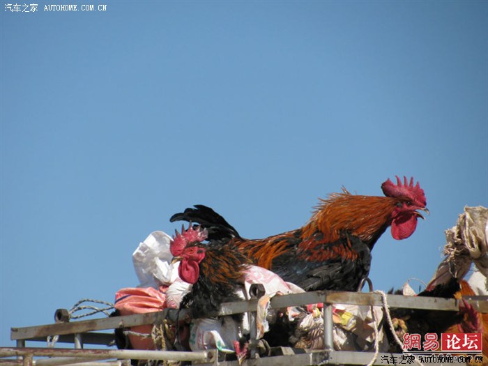 【图】年薪10万能买五系吗_宝马5系论坛