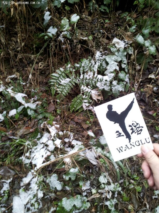 现在还是无法入睡