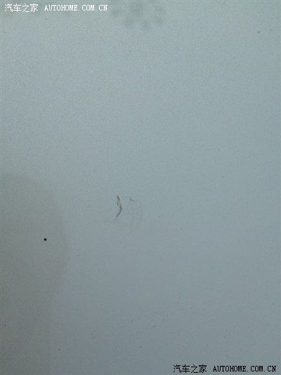 【图】后悔买了白色骐达,仔细看有黄点,很多,不