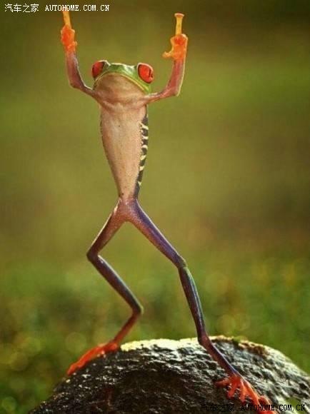 【图】听说 男人都喜欢 苗条 眼大 腰细 腿长……_菲翔论坛_汽车之家论坛