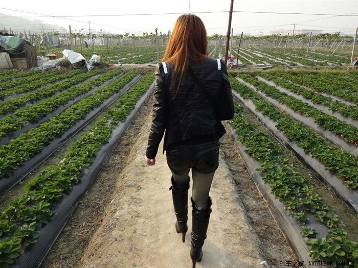 【图】【媳妇当车横】90<em>妹子</em>火辣演出_<em>宝马7</em>