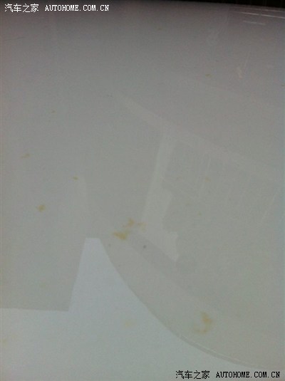 【图】大家看看,白小三上的黄点,怎么解决!谢谢