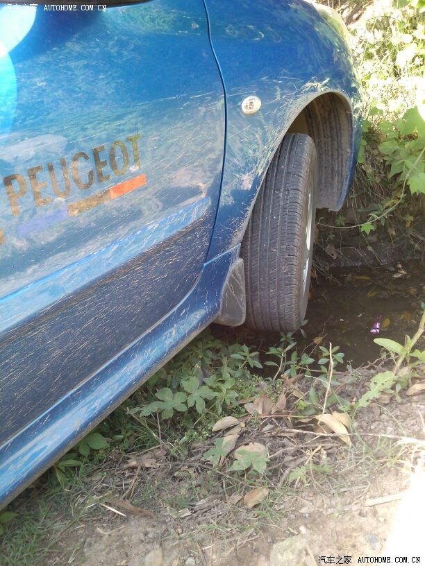 【图】终于明白了这两天眼皮跳的原因了_标致