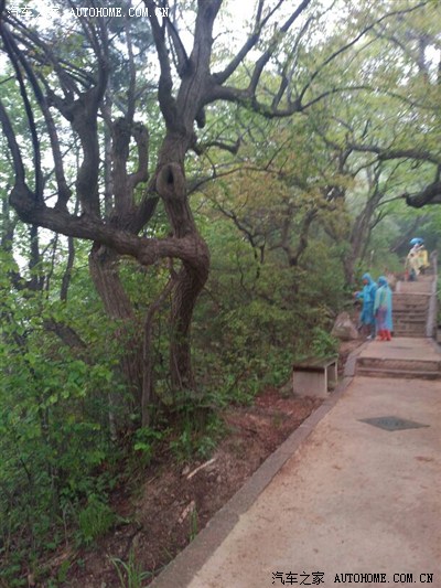 多图【自驾游】洛阳-栾川老君山,龙峪弯日行3