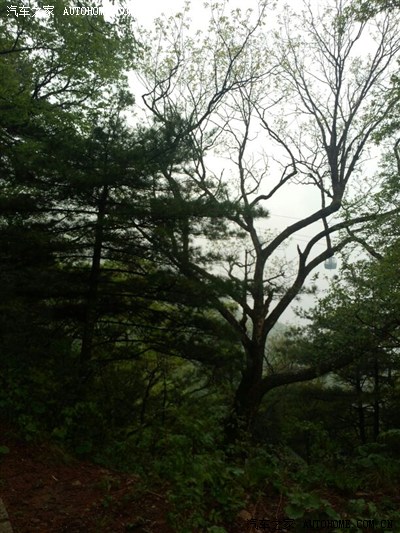 多图【自驾游】洛阳-栾川老君山,龙峪弯日行3