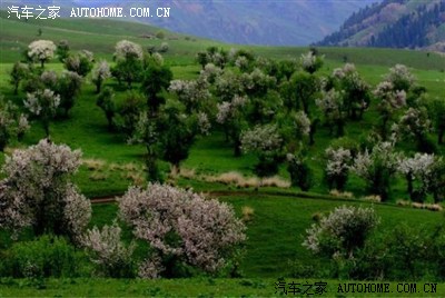 单车深圳-新疆,听说新疆交规较严,少数民族禁忌