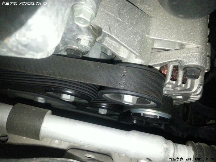 【图】小猫钻进车头,发现全新胜达发动机皮带