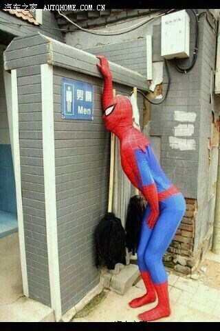 【图】乌龟怕铁锤,蟑螂怕拖鞋,那小鸟怕什么?