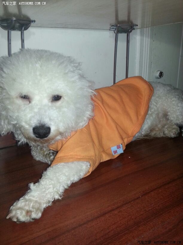 【图】手机写个帖子先,你周末的忧郁谁人能懂