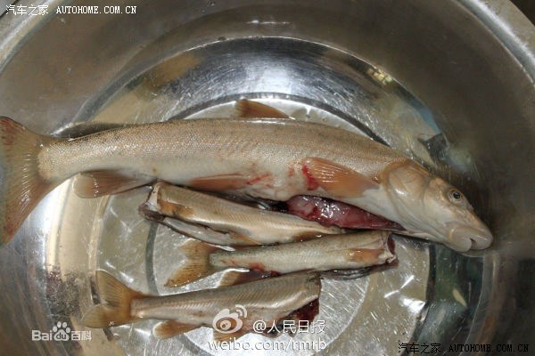 【图】保护环境是自驾游的基本原则